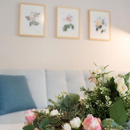 赛博尼茨Urlaubsfreude Biedermann Haus Blumenglueck - Rose公寓 外观 照片