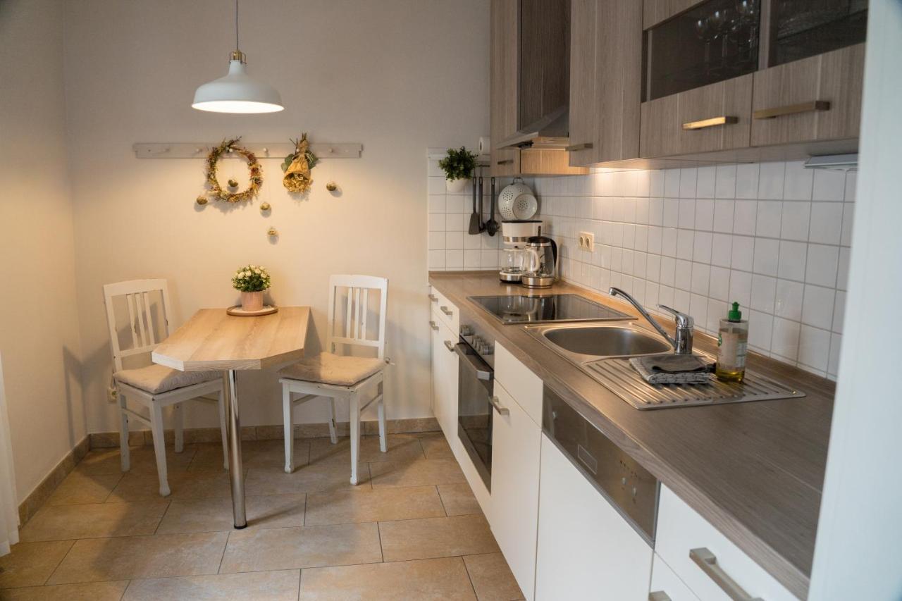 赛博尼茨Urlaubsfreude Biedermann Haus Blumenglueck - Rose公寓 外观 照片