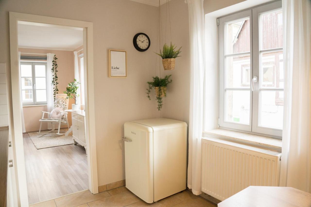 赛博尼茨Urlaubsfreude Biedermann Haus Blumenglueck - Rose公寓 外观 照片